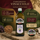 Виноградное масло Farchioni Olio Di Semi Di Vinacciolo 1 л масло из косточек винограда рафинированное пищевое растительное итальянское масло для фритюра жарки овощей картофеля запекания гриля заправки салатов приготовления соусов маринования рыбы белого м - изображение 2