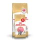 Royal Canin Kitten British Shorthair (Роял Канин Бритиш Шортхеа) сухой корм для котят британской кошки, 2кг+400гр - изображение 1