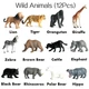 Набор фигурок Дикие животные 12 шт. Wild Animals - изображение 2
