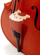 Виолончель YAMAHA VC 5S34 - изображение 3
