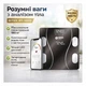 Напольные электронные весы BITEK BT-1605 смарт весы с LED-дисплеем, Bluetooth, стеклянной платформой до 180 кг Черные (О155) - изображение 2