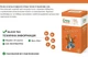 Чай чорний Tea Moments Bright Energy Яскрава Енергія 22 саш по 1.8 г + Вітаміни, імбир, шипшина, манго - зображення 2