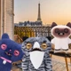 Мягкая игрушка Фуглер Тигрокот Пидозрийко 23 см Fuggler Alley Cats Wide Eyed Cat by Zuru (15752E) - изображение 6