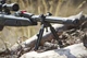 Винтовка пневматическая GAMO SPEEDSTER IGT 10X GEN3I калибр 4.5 мм 386 м/с - изображение 4
