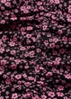 Спідниця H&M 18344 Чорний S (0918) - изображение 4