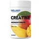 Креатин Willmax Creatine Monohydrate 500 г (Mango / Манго) креатин моногідрат - зображення 1
