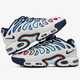 Кросівки чоловічі Ni Air Max Plus Drift White Grey / Най Аір Макс Тн плюс Дріфт світло-сірі 43 - зображення 1