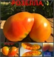 Семена Томат Гном Розелла Биколор 10сем Империя семян - изображение 2