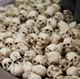 Набор мини-черепов 10 шт Halloween маленький декор для миниатюрных ландшафтов, садов, аквариумов, горшков, игр и офисов, маленькие черепа Scull Хеловин - изображение 1