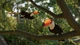 Gra XSX Planet Zoo 2 (Blu-ray płyta) (5056208828378) - obraz 12
