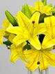Штучна гілка лілій на 2 квітки, 36 см, жовтий, К11045 - зображення 5