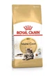Сухий корм для дорослих котів породи мейн-кун Royal Canin Maine Coon Adult 4 кг (3182550710657) - зображення 1