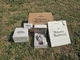 Годинник Vivienne Westwood Camberwell Ladies Quartz Watch with Silver Dial from JP | Часи Вивьен Вествуд - изображение 7