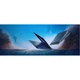 Ноутбук Acer Predator Helios Neo 16S AI PHN16S-I51 (NH.U3TEU.003) Acer NH.U3TEU.003 1069966 - изображение 2