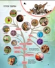 Енциклопедії Тварини - укл Жученко М (9789669827036) - изображение 5