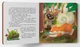 Книга Хвостаті пригоди. Пончик та Грінка. Канікули за містом (9786175475508) - зображення 3