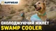 Охолоджуюча попона для собак Ruffwear Swamp Cooler™ M Зелений - изображение 8