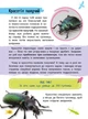 Мініенциклопедія. Комахи та павуки - Костянтин Воронков (9789669827234) - изображение 3
