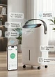 Осушувач повітря EvoAir NovaDry 12 Smart з Wi-Fi керуванням, 12л/24год, датчик вологості, іонізація, УФ-лампа, функція сушіння одягу, резервуар 2,5л, цифровий дисплей, білий колір з чорним ремінцем - зображення 1