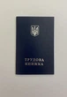 Трудовая книжка бумажная с защитной голограммой стандартная - изображение 1