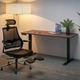 Стіл з електрорегулюванням висоти "PowerDesk Duo" Mealux EVO-242 Duo Walnut/B, Walnut - зображення 5