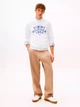 Свитшот на флисе мужской Tommy Hilfiger 793338720 2XL Белый (1161710087) - изображение 3