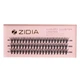 ZIDIA Cluster lashes Вії пучкові 20D C 0,10х11 mm, 3 стрічки - изображение 2