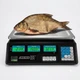 Весы торговые аккумуляторные электронные AREXES-40 кг 4v Аккумулятор (138946) - изображение 4