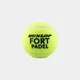 М'ячі для падл-тенісу Dunlop FORT PADEL 3PET 601555 (Оригінал) - зображення 2