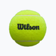 Мячи для падл-тениса Wilson Premier Padel Tennis Balls 3 Ball Can Yellow (Original) WR8908401001 - изображение 2