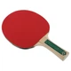 Набор ракетки для настольного тенниса Donic Champs 400 2-player set with 2 covers (Орригинал) 788498 - изображение 6