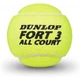 М'ячі для тенісу Dunlop Fort TS металева банка 3шт. (Оригінал) 601315 - зображення 2