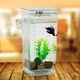 Акваріум самоочисний для рибок 2л, My Fun Fish - зображення 8