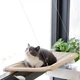 Підвісна лежанка на вікно для кота Sunny Window Seat Cat Bed - зображення 1