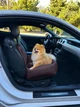 Автокресло автогамак лежак со съемным чехлом для собак и кошек 50х50 см Incor Коричневый (К-52) - изображение 4
