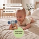 Розвивальний набір іграшок для немовлят Goodevas BabyBox 3-6 місяців - зображення 5