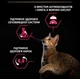 Сухий корм для стерилізованих кішок Purina Pro Plan Cat Adult Sterilised Savoury Duo Сod & Тrout з тріскою та фореллю 10 (кг) - зображення 4