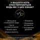 Сухой корм для кошек при заболеваниях почек Purina Pro Plan Veterinary Diets NF - Renal Function Early Care 350 г - изображение 4