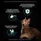 Вологий корм для котів Purina Pro Plan Adult Sterilised Maintenance Шматочки з яловичиною 26х85г - зображення 3
