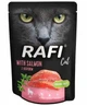 Вологий корм для котів Dolina Noteci Rafi Cat Pouch Adult with Salmon з лососем 300 г - зображення 1