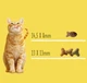 Сухой корм Friskies для взрослых кошек с лососем и овощами 300 (г) - изображение 2