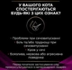 Влажный корм для кошек при заболеваниях мочевыводящих путей Purina Veterinary Diets UR St/Ox – Urinary Feline 195 г - изображение 4