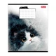 Зошит учнівський Little cat 1B 768736 12 аркушів Різнокольоровий shop (4823133108933) - изображение 4