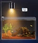 Светильник для аквариума точечный LED черный Yee Spotlight 5,3 Вт - изображение 6