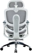 Кресло офисное Sihoo DORO C300 PRO V2 с подставкой для ног White (C300-PRO-V2-B102-JT) - изображение 12