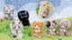 Фігурка-сюрприз з кільцем 10/10 Toys Bobocat Golden Fruit (QWJG402) - зображення 13