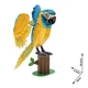 3D пазл Cubic Fun Зникаючі тварини Папуга Синьогорлий ара 94 ел, DS1097H - зображення 2
