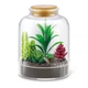 Набор-сюрприз Zuru Mini Brands Botanical Garden, 77559GQ1 - изображение 5