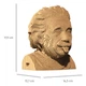 3D Пазл Cartonic Albert Einstein 172 ел, CARTMALB - зображення 6
