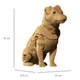 3D Пазл Cartonic The Dog Patron 59 эл ,CARTPATR - изображение 7
